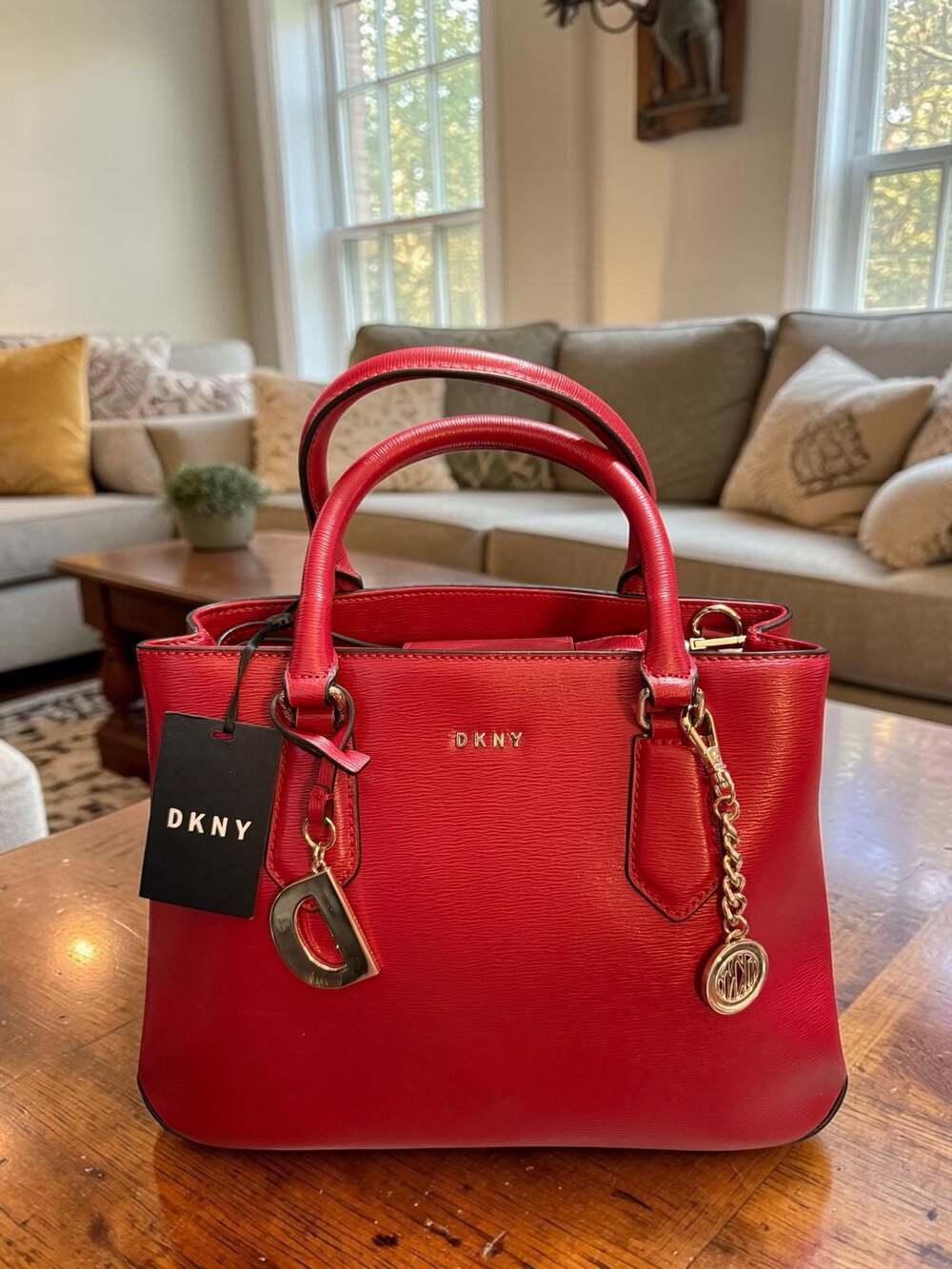 DKNY Red Textured Leather Medium Satchel Handbag with Gold-Tone Charms